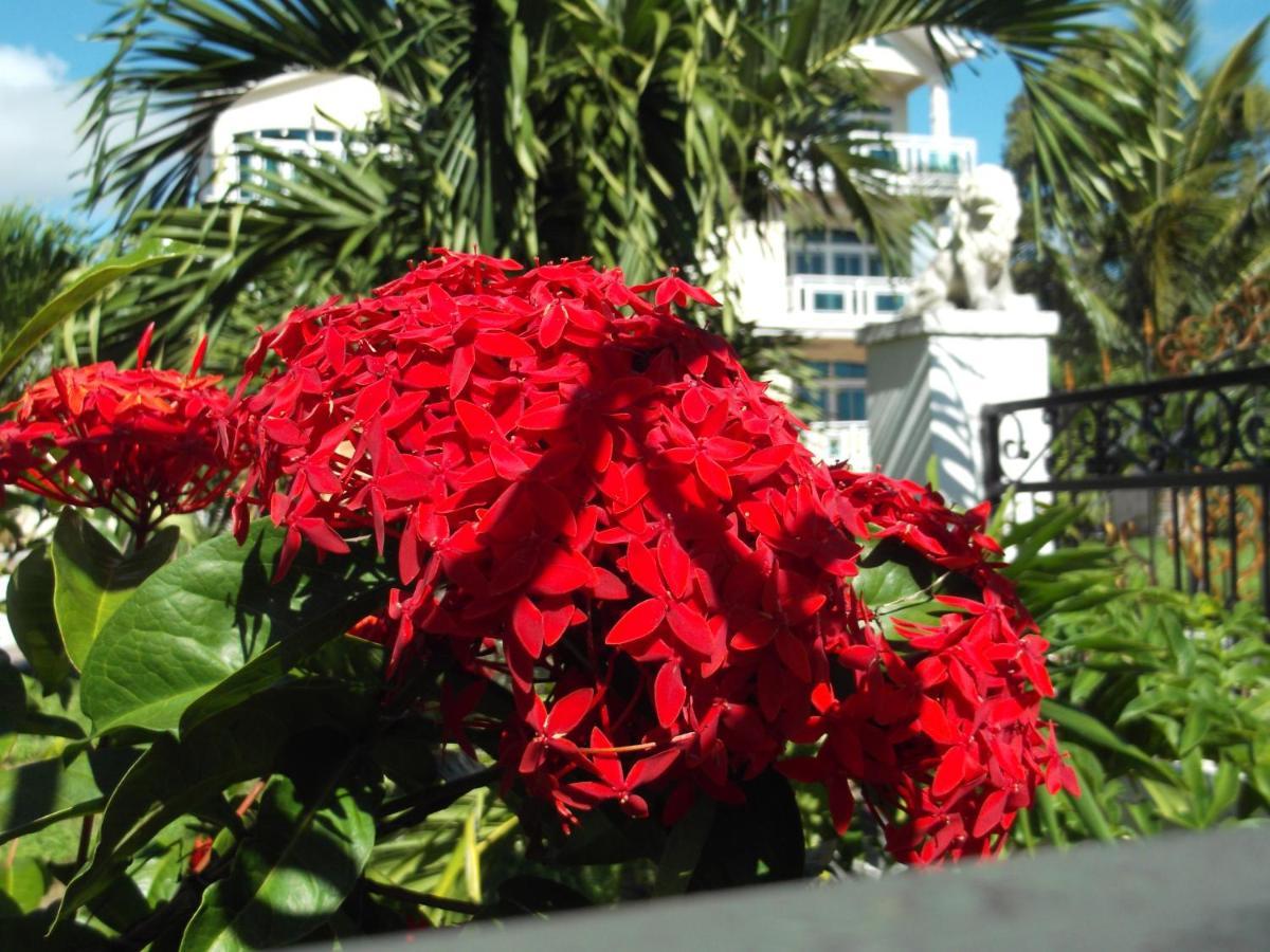 Luxor Residence Guesthouse Belle Mare Esterno foto